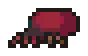 tick